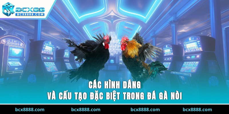 Các hình dáng và cấu tạo đặc biệt trong đá gà nòi 