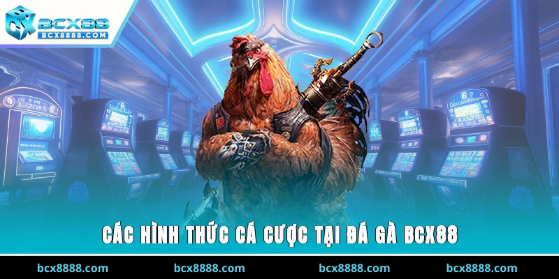 Các hình thức cá cược tại đá gà BCX88
