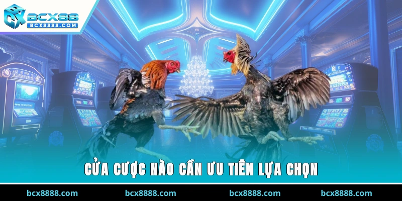 Cửa cược nào cần ưu tiên lựa chọn