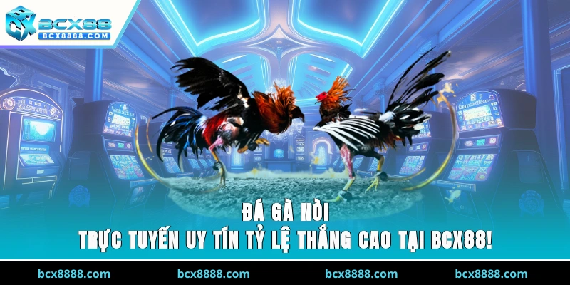 Đá Gà Nòi Trực Tuyến Uy Tín, Tỷ Lệ Thắng Cao Tại BCX88!