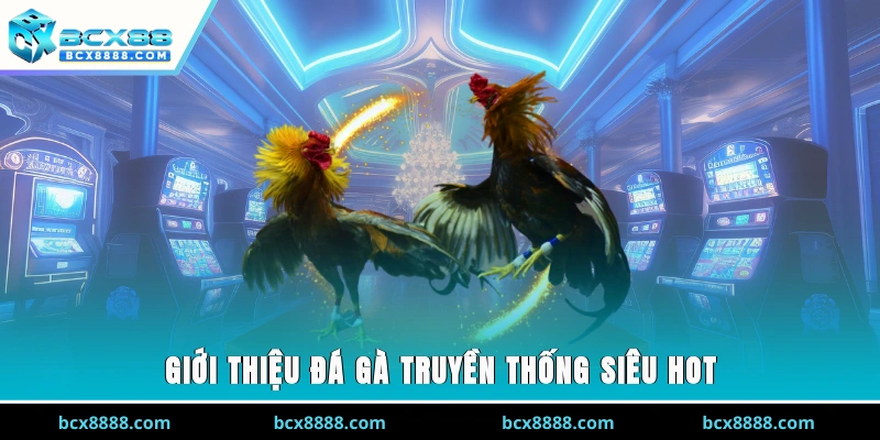 Giới thiệu đá gà truyền thống siêu hot