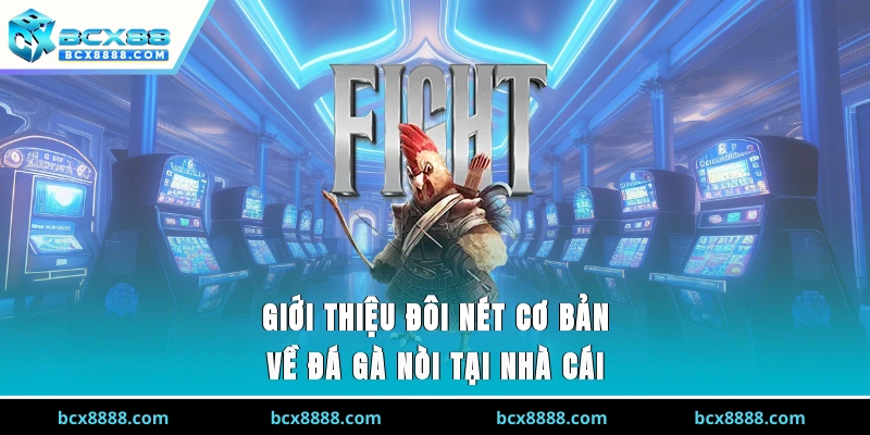 Giới thiệu đôi nét cơ bản về đá gà nòi tại nhà cái