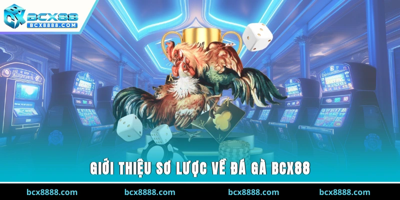 Giới thiệu sơ lược về đá gà BCX88