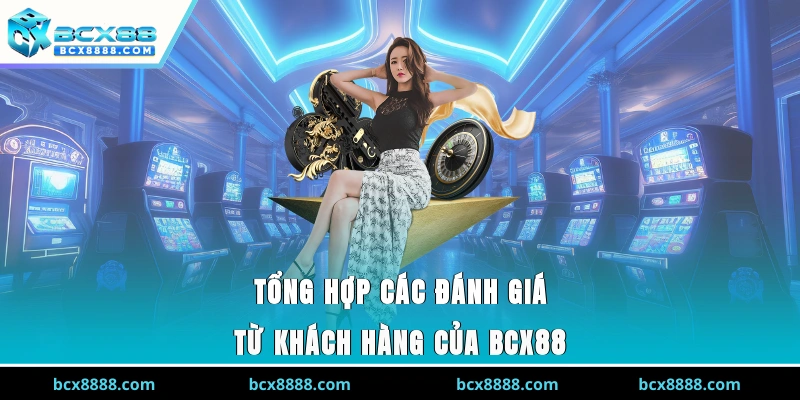 Tổng hợp các đánh giá từ khách hàng của BCX88